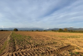 Garriguella 23000&nbsp;m² 