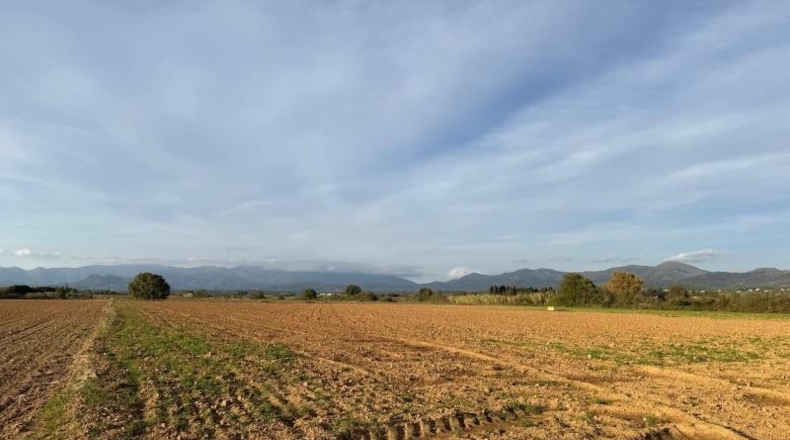 Gerona - Garriguella - 23000m2
