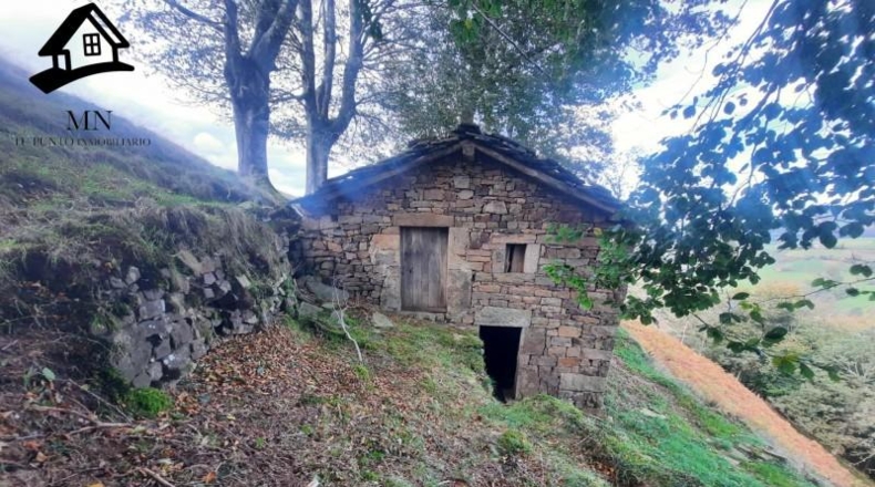 Cantàbria - Selaya - 21884m2