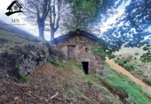 Detached villa with land for sale on España, Selaya, ref: TR359369 photo