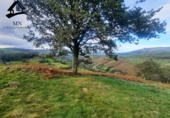 Detached villa with land for sale on España, Selaya, ref: TR359369 photo