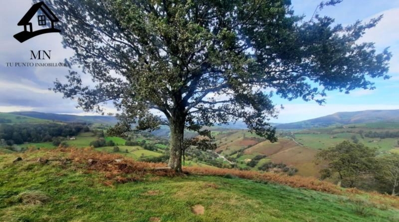 Cantàbria - Selaya - 21884m2