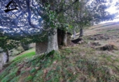 Detached villa with land for sale on España, Selaya, ref: TR359369 photo