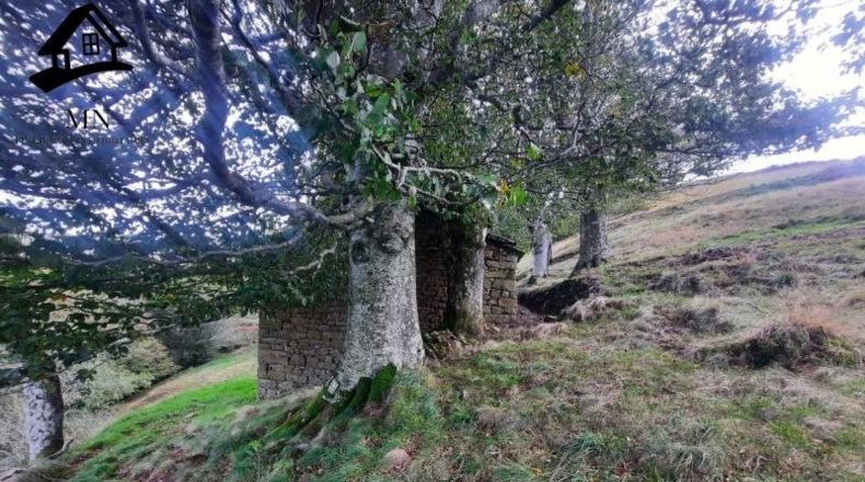 Cantàbria - Selaya - 21884m2