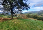 Detached villa with land for sale on España, Selaya, ref: TR359369 photo
