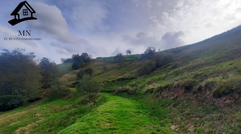 Cantàbria - Selaya - 21884m2