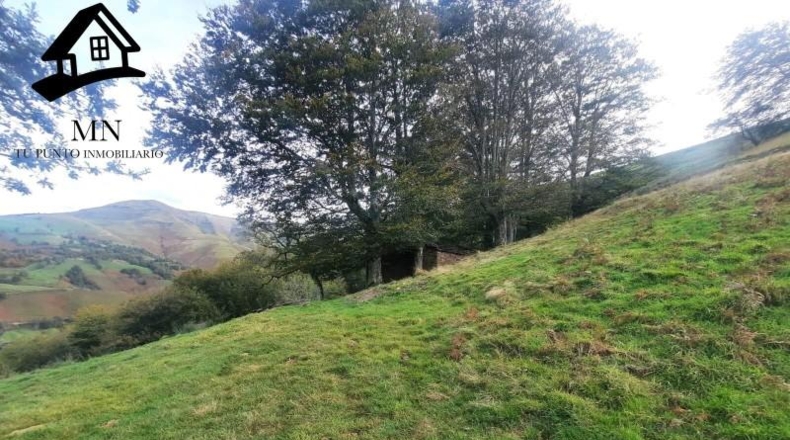 Cantàbria - Selaya - 21884m2