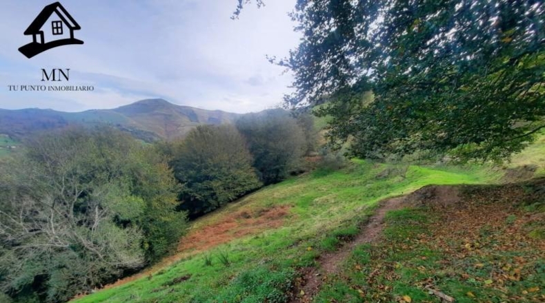 Cantàbria - Selaya - 21884m2