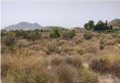 Casa amb terreny en venda a la España, Agost, ref.: TR292240 foto