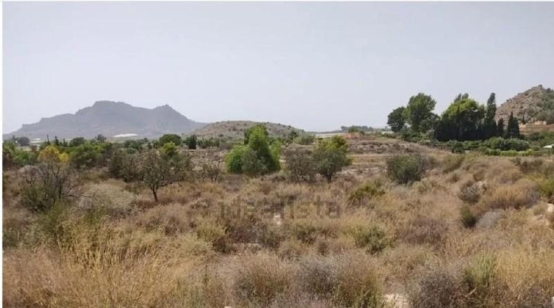 Alicante - Dolores - 7952m2