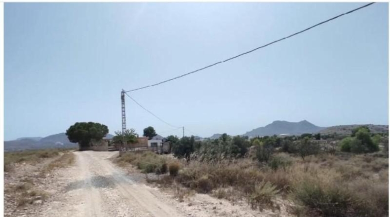 Alicante - Dolores - 7952m2