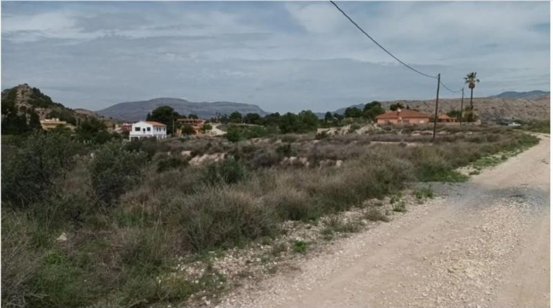 Alicante - Dolores - 7952m2