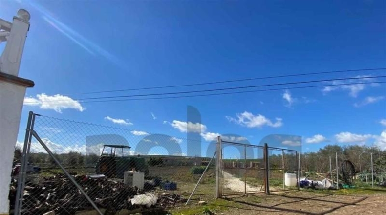 Sevilla - Écija - 293m2