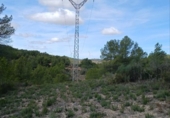 Terreny no urbanitzable en venda a la España, Corbera d'Ebre, ref.: TR243217 foto