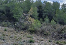 Corbera d'Ebre 81401&nbsp;m² 