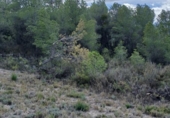Terreny no urbanitzable en venda a la España, Corbera d'Ebre, ref.: TR243217 foto