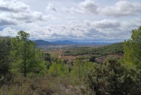 Corbera d'Ebre 81401&nbsp;m² 