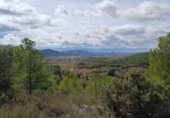 Terreny no urbanitzable en venda a la España, Corbera d'Ebre, ref.: TR243217 foto