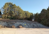 Sòl urbà en venda a la España, Cuéllar, ref.: TR236625 foto