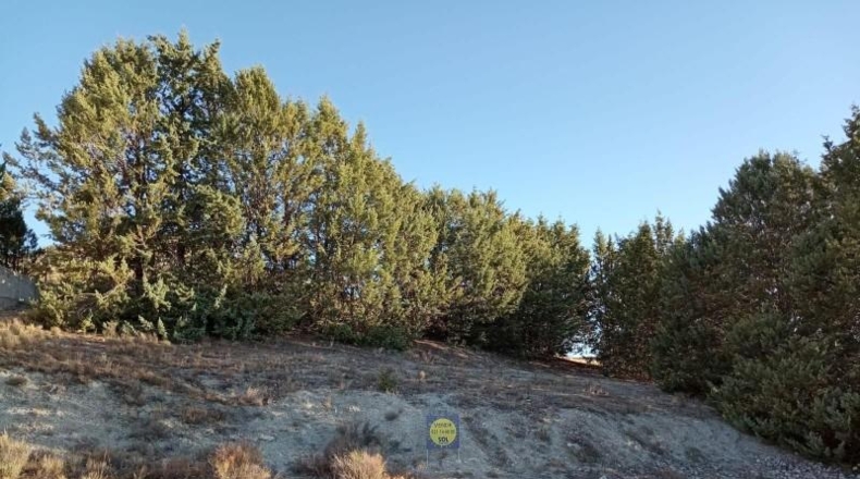 Segovia - Куэльяр - 451m2