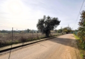 Terreny no urbanitzable en venda a la España, Badajoz, ref.: TR368261 foto