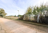 Terreny no urbanitzable en venda a la España, Badajoz, ref.: TR368261 foto