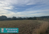 Terreny no urbanitzable en venda a la España, Pineda de Mar, ref.: TR381914 foto
