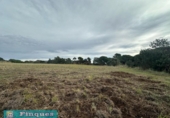 Terreny no urbanitzable en venda a la España, Pineda de Mar, ref.: TR381914 foto