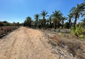Земля на продажу у города Crevillente Фото