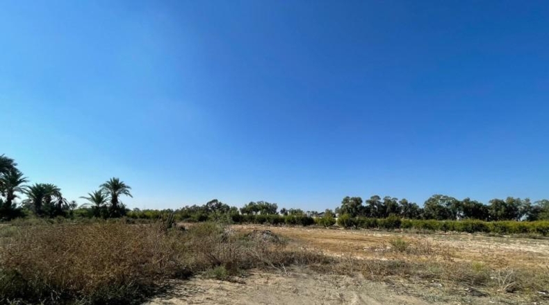 Alicante - Crevillent - 14561m2
