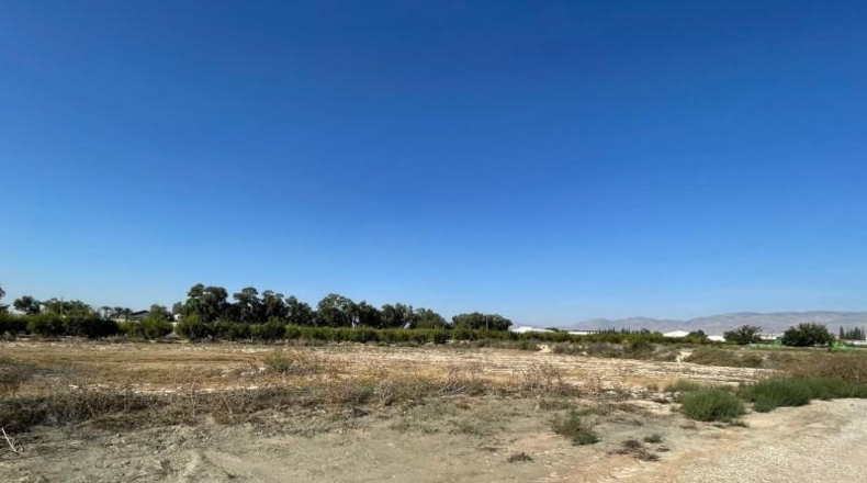 Alicante - Crevillent - 14561m2