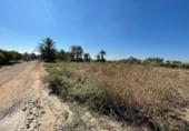 Земля на продажу у города Crevillente Фото