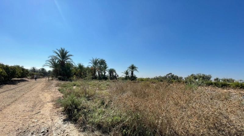 Alicante - Crevillent - 14561m2