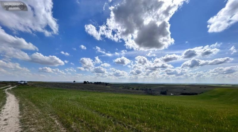 Toledo - El Viso de San Juan - 47410m2