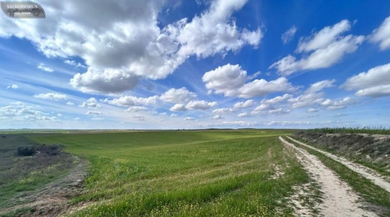 Toledo - El Viso de San Juan - 47410m2