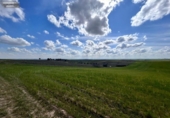 Non-developable land for sale on España, El Viso de San Juan, ref: TR236588 photo