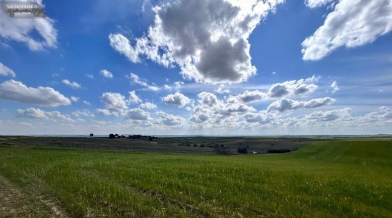 Toledo - El Viso de San Juan - 47410m2