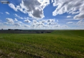 Non-developable land for sale on España, El Viso de San Juan, ref: TR236588 photo