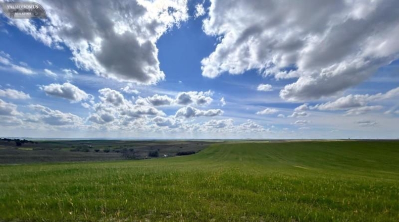 Toledo - El Viso de San Juan - 47410m2