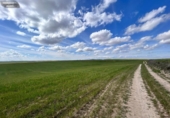 Non-developable land for sale on España, El Viso de San Juan, ref: TR236588 photo