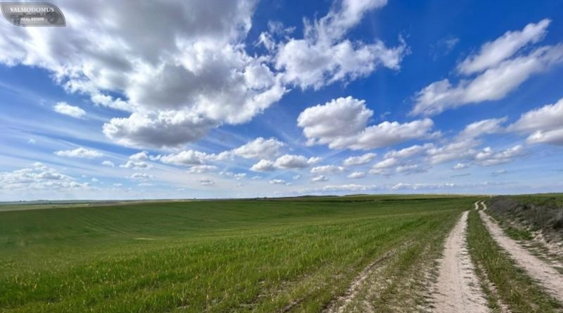 Toledo - El Viso de San Juan - 47410m2