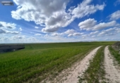 Non-developable land for sale on España, El Viso de San Juan, ref: TR236588 photo