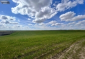 Non-developable land for sale on España, El Viso de San Juan, ref: TR236588 photo