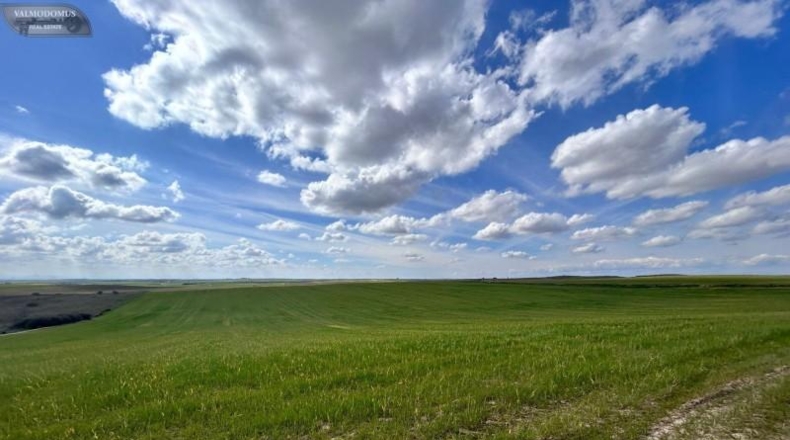 Toledo - El Viso de San Juan - 47410m2