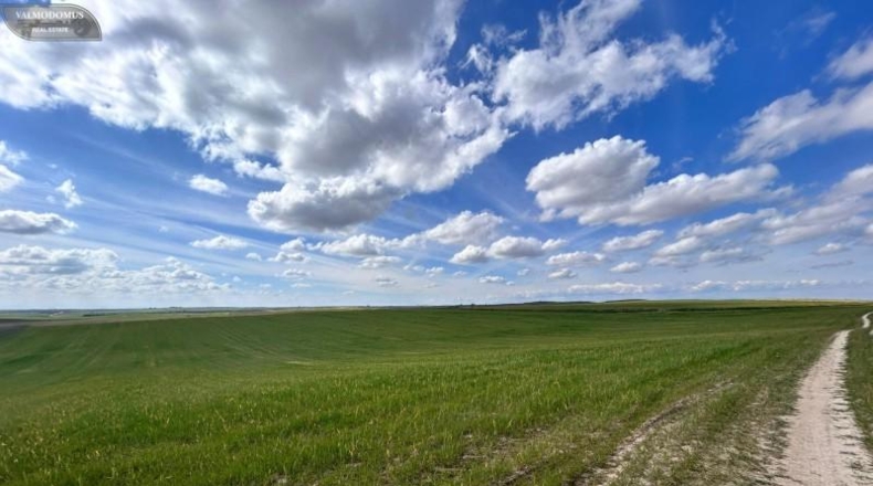 Toledo - El Viso de San Juan - 47410m2