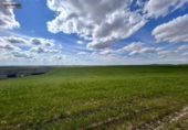 Non-developable land for sale on España, El Viso de San Juan, ref: TR236588 photo