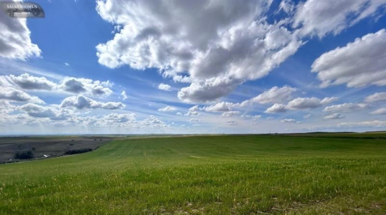 Toledo - El Viso de San Juan - 47410m2
