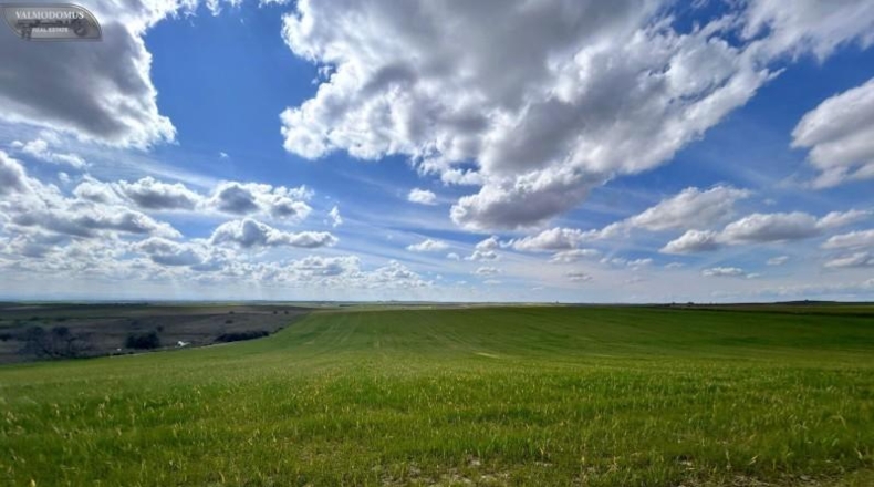 Toledo - El Viso de San Juan - 47410m2