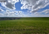 Non-developable land for sale on España, El Viso de San Juan, ref: TR236588 photo