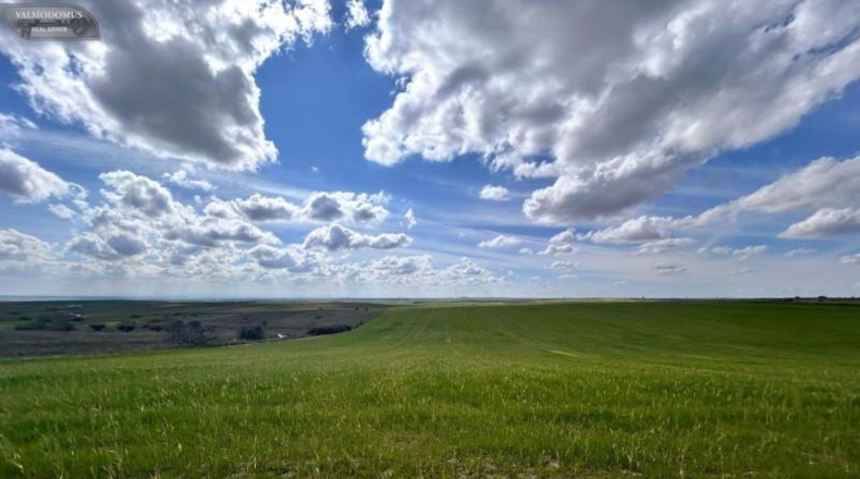 Toledo - El Viso de San Juan - 47410m2